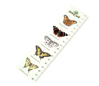 Papírová záložka s měřítkem - Motýli