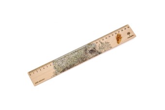 Dřevěné pravítko 30 cm ježek východní